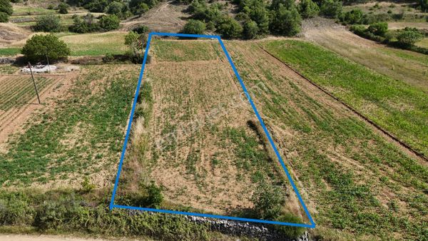 Hayal Gayrimenkulden Yatırımlık 1162 M2 Tarla