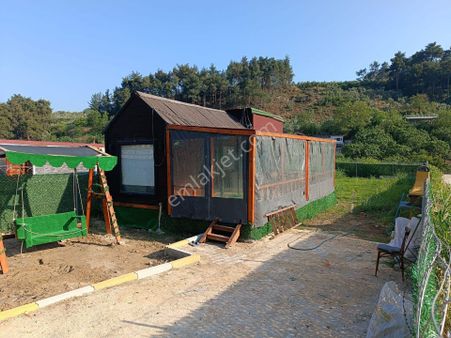 Mudanya Yörükali Mah.de Satılık Tiny House Ormanlık İçinde 55m2 313 M2 Alan İçinde Elk./su
