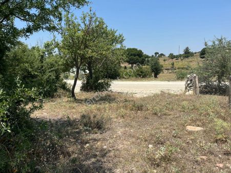 Ege’de Yatırım Her Zaman Kazandırır. Kazanç, Doğru Yerden Başlar