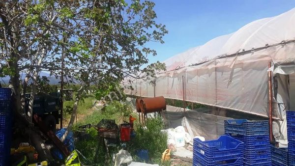 Ortaca Dalaklı Da Satılık 4.000 M2 Tünel Sera