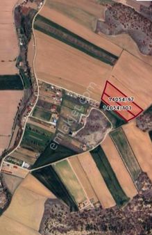 Sarısungur'da Satılık Tarla