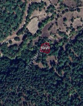 Afyon Prestij Gayrimenkul Çanakkale Bayramiç Köyü Satılık Bahçe