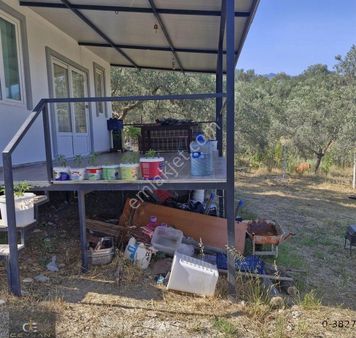 Muhteşem Hobi Bahçesi