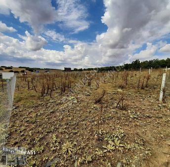 Karapazarda Satılık 400m2 Hobi Bahçesi