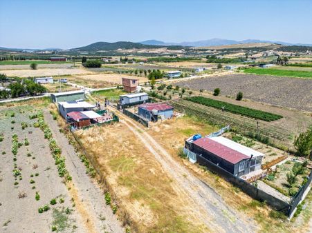 Foça Gerenköy Rızai Taksimleri Yapılmış Tarla