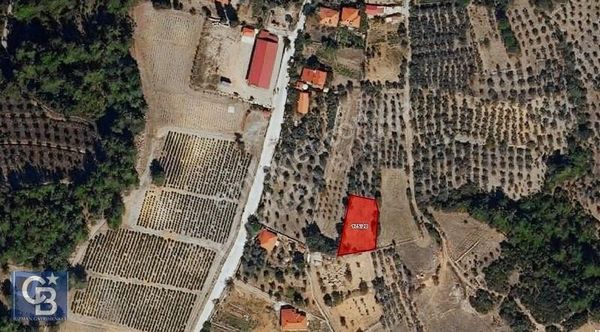 Muğla/menteşe/yeniköy 808 M2 Satılık Tarla