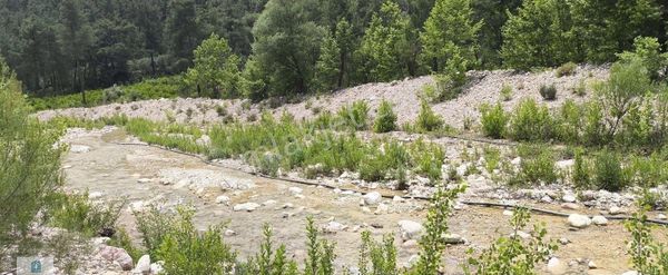 07 Truva Emlak'tan Kumluca Karacaörende Satılık Tarla
