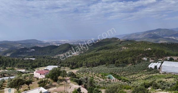 07 Truva Emlak'tan Kumluca Güzören Köyünde Satılık Arsa