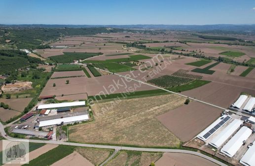 'ferizli'de Merkeze Ve O.s.b' Ye Yakın Mesafede %40 İmarlı Arsa'