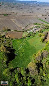 Sakarya Adapazari Ekizce Müslüm'de Satılık Tarla