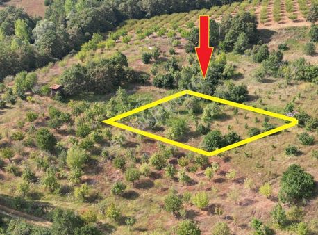 Pamukova Hüseyinli Mahallesinde Balıkhaneye Yakın1010 M² Arazi