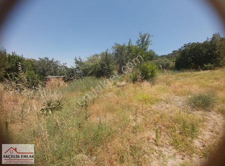 Aydın Koçarlı Cincin Mah. Acil Satılık Bahçe