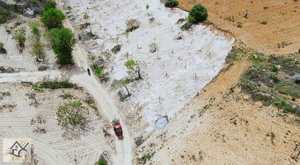 Faruk Emlaktan Satılık 5000 M2 Tek Tapu Zeytinlik Toki Civarı