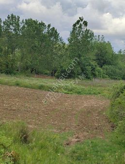 İdda Ediyoruz Organize Sanayı Bölgesinde Bundan Daha Uygunu Yok