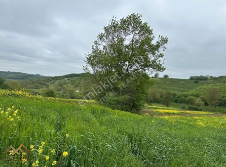 Yatırımlık Kupon Tarla