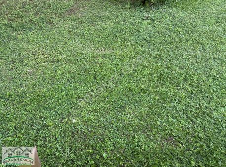 Bursa İznik Derbent De 950 M2 Mahmut Demir Den