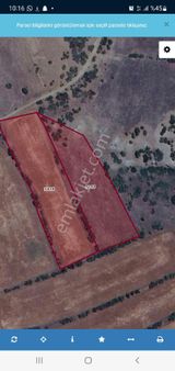 14 Dönüm Ekilir Bıcılır Arazımız Köye 1 Km.m