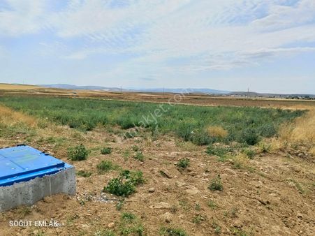 Söğüt Emlak'tan İscehisar'da Satılık Tarla