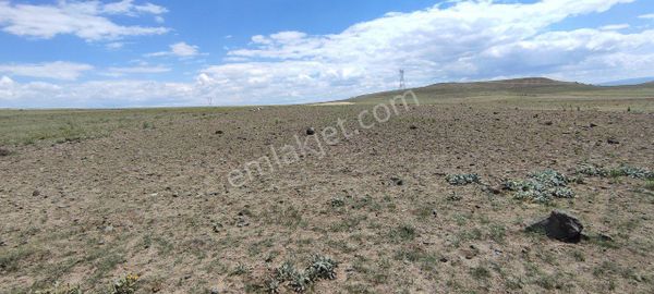 Söğüt Emlak'tan İscehisar'da Satılık Tarla 2800 M2