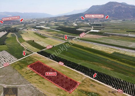 Antalya Elmalı Tavullar Mahallesinde 8.800m2 Yetişkin Satılık Elma Bahçesi