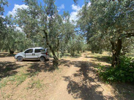 Kentmax Dan Çakırlı Da Asfalta Yakın Bahçe