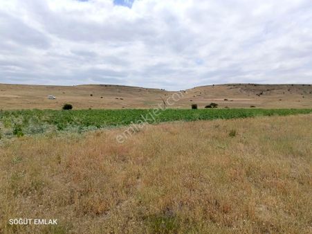 Söğüt Emlak'tan İscehisar'da Satılık Tarla