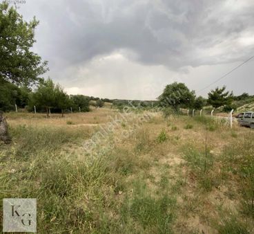 Karacadan Menderes Çatalcada Satılık 2 Adet 502 M2 Tek Tapu Tarla