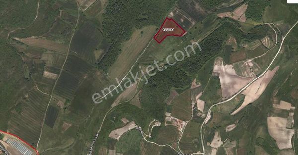 Metrekare Fiyatı En Uygun Yatırımlık Arazi Hem De Yazlıkköy'de