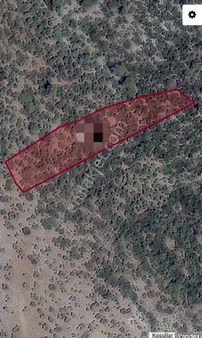 Serçin Köyü Sökede Satılık Zeytinlik