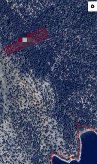 Serçin Köyü Sökede Satılık Zeytinlik