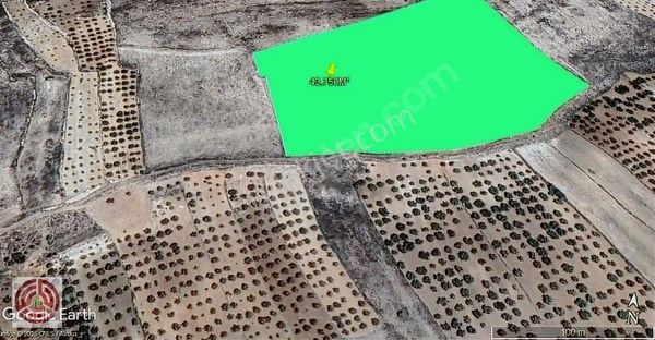 Malatya Darende Günerli Mah.satılık Tarla 43.750m²