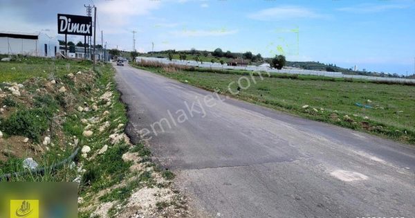 Bozön Da Satılık 34 Cadden Giden Bozön Yol Cepheli 9500 M2