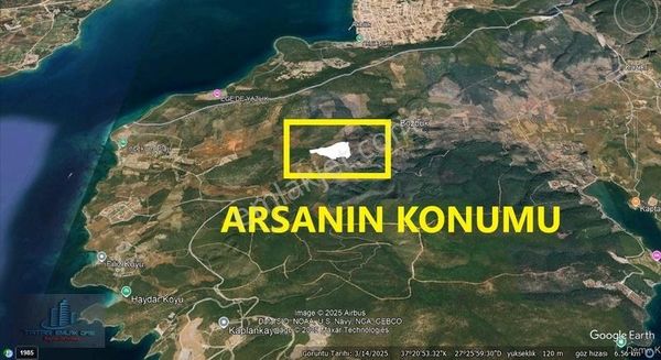Muğla Milasta 100.000 M2 Zeytinlik Arazimiz Satışta