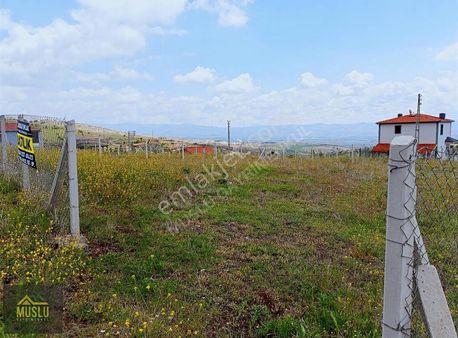 Muslu Gayrimenkulden Aşağı Saraylı Ky. De Tek Tapu Satılık Arsa