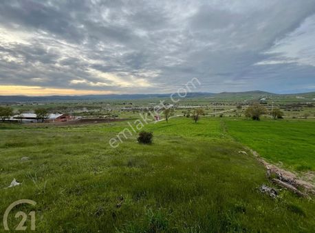 C21 Loca'dan Gökçeyazı Köseağalar Mahallesinde 3750m2 Tarla