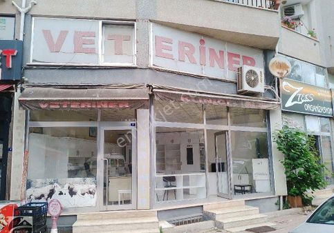 Samsun Terme De Satılık Dükkan & İşyeri & Ofis
