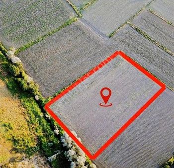 Kuzey Marmara Otoyoluna 1,7 Km Yatırımlık Arsa