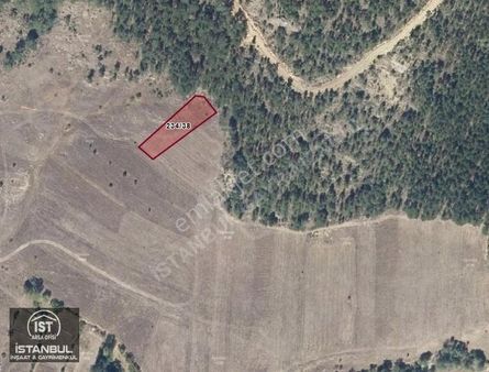 Kütahya Simav Kızılcık Köyü 2 Adet Uygun Fiyata Tek Tapu