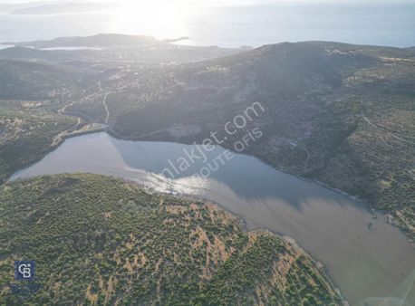 Coldwellbanker Route'tan Dikili Katıralanda Acil!! Satılık Tarla