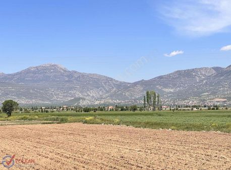 Antalya Yoluna Yakın 24 Dönüm Sulu Tarımlı Önü Arkası Yol Tarla