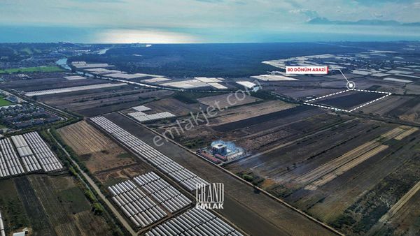 Çakallık Mahallesi, Serik, Antalya’da Yatırımlık 80 Dönüm Satılık Arazi