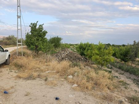 Cm Emlaktan Sazlıca Yukarı Mahalle 4255 M2 Satılık Bahçe