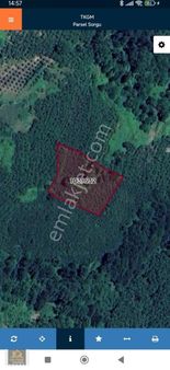 Tekkeköy Yaylageriş Köyünde De 3250 M Fındık Bahçesi