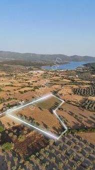 Milas Bozbük'te Denize 700 Metre Mesafede 20 Dönüm Tarla