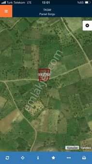 Tekirdağ/şarkör/çınarlı 1.426 M2 Mahmut Demir Den