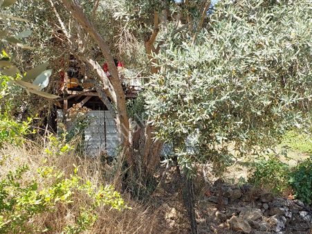 Ortaca Eskiköyde 2.500m2 Hazine Arazisinde Numaratajı Olan Bina İle Devren Satılık