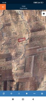 Millioğlu İnşaat'tan Zeytinli De Satılık Tarla