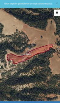 Denizli Pamukkale Akdere Mahllesinde Tarlamız Satılıktır