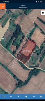 Kırklareli Vize Sergende Bağ Bağçe Yapımına Uygun Arazi