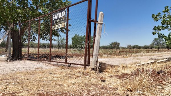 Uyaran79 Gayrimenkulden Doğan Güreş Paşada Yatırımlık Bağ